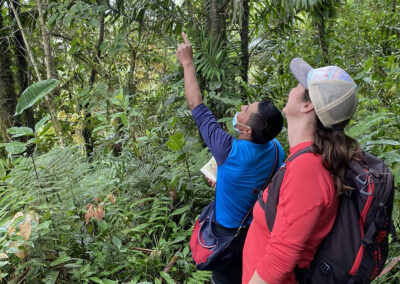 Bird watching in Ecuador - Endless River Adventures