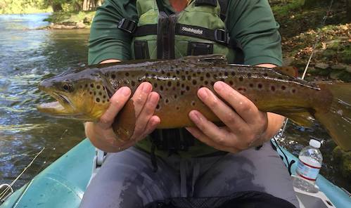 Learn to Fly Fish with the best guide